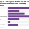 percentage of LGBTQ youth that did not feel care providers would understand their culture by race/ethnicity